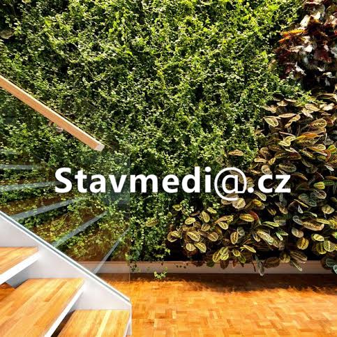 stavmedia